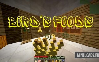 Мод Bird's Foods для Майнкрафт 1.12.2, 1.13